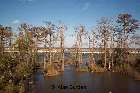 Running through a Louisiana Bayou on train #58