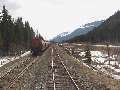 We take the siding to let a CN unit grain train by